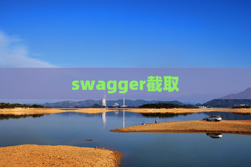 swagger截取